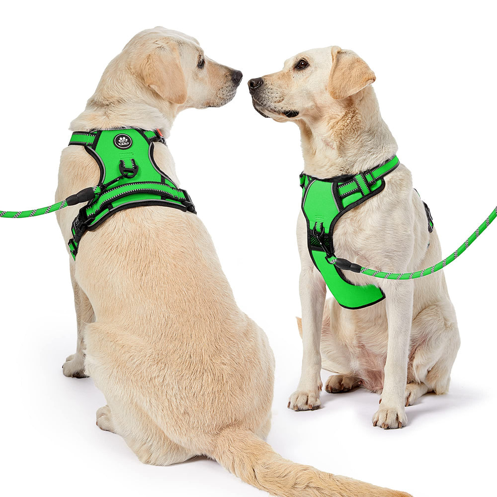 NESTROAD breathable air mesh keeps dogs cool and comfy
