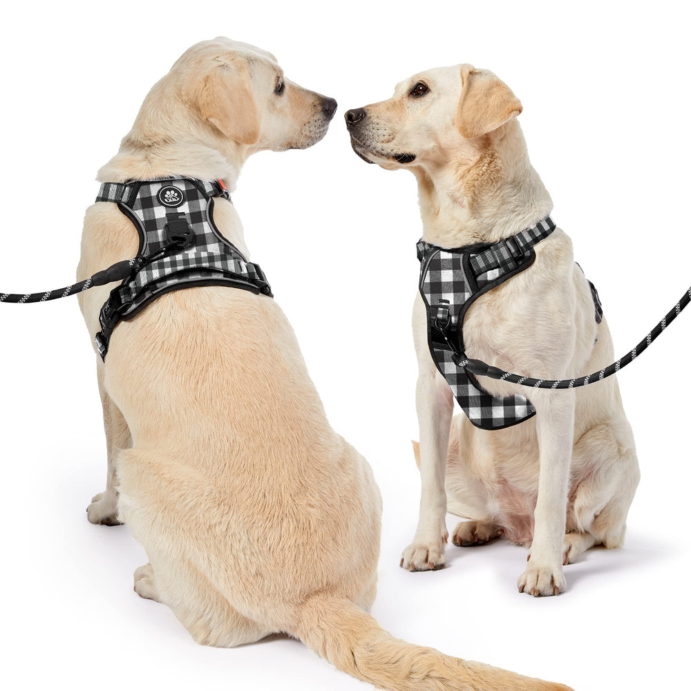 NESTROAD small-dog fit image showing adjustable sizing for secure hold