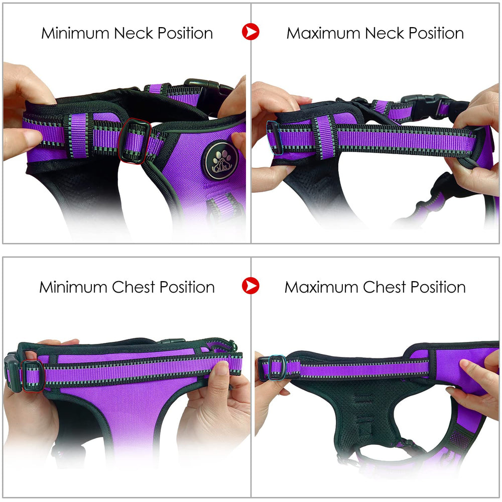 NESTROAD front-clip training view illustrates no-pull control