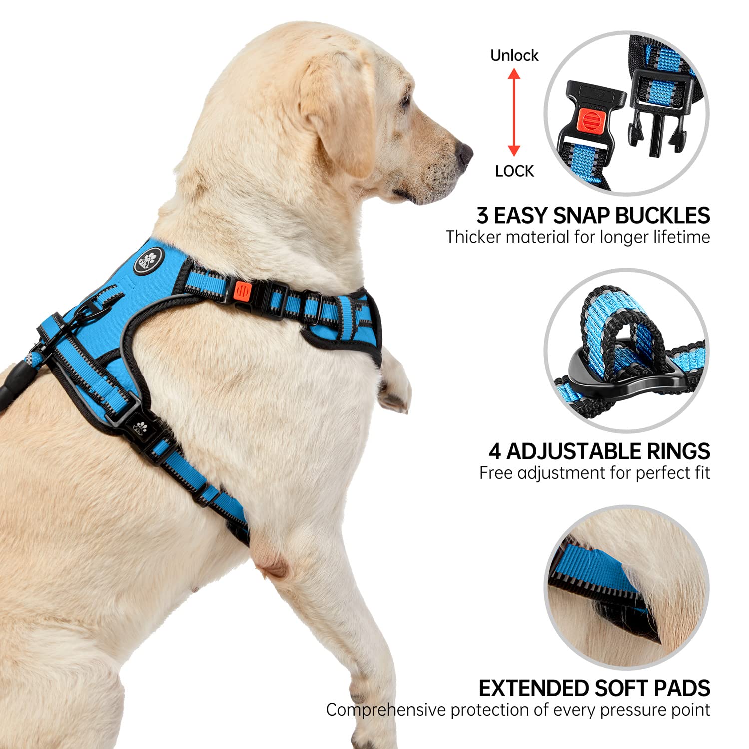 NESTROAD front and rear clips enable versatile training and strolling.