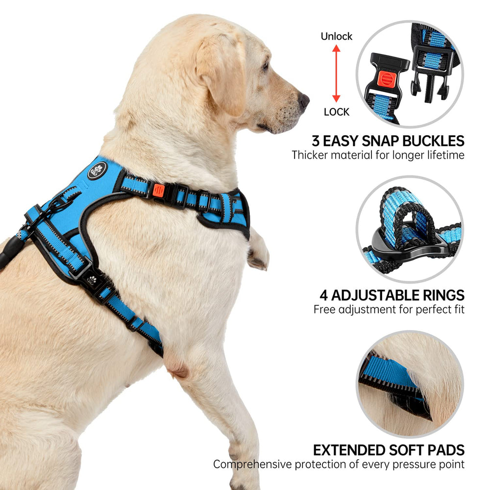 NESTROAD front and rear clips enable versatile training and strolling.