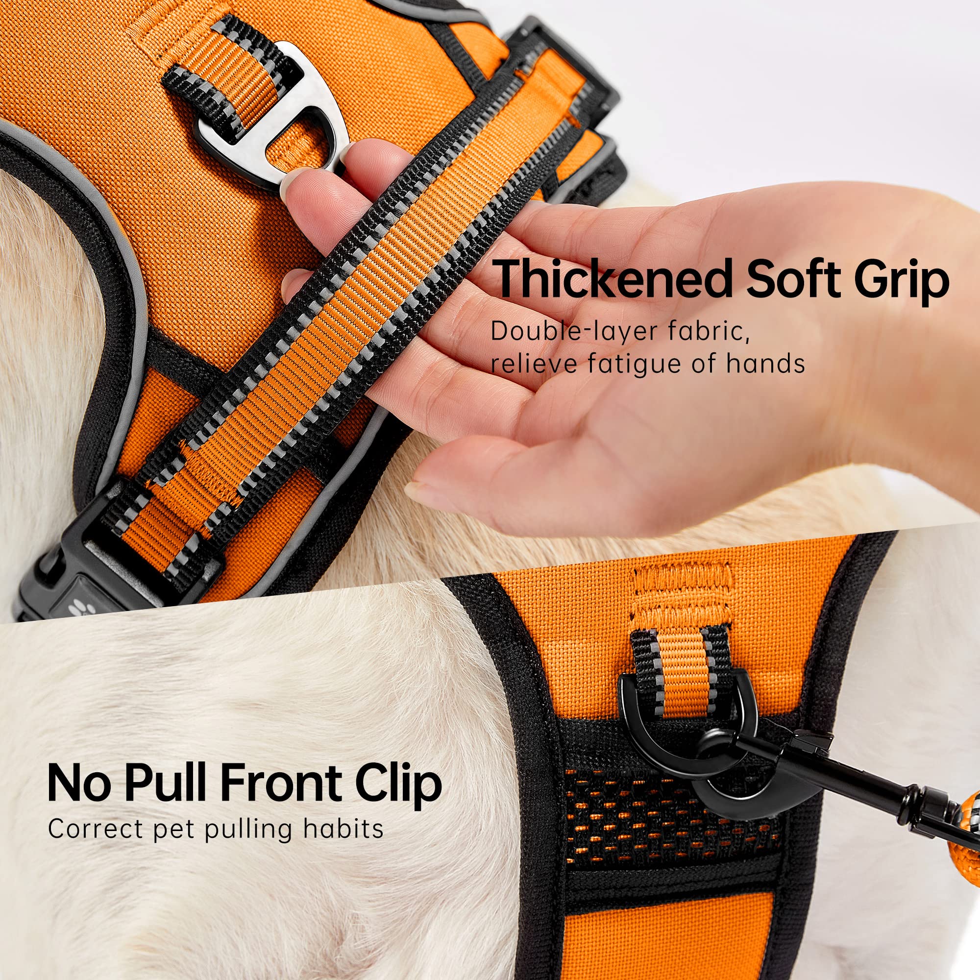 NESTROAD harness shows four adjustable straps for a snug, escape-resistant fit.