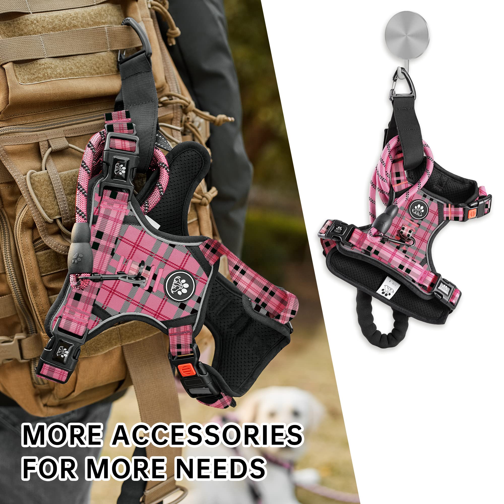 NestROAD harness accessories including leash, retractable seatbelt, storage strap.