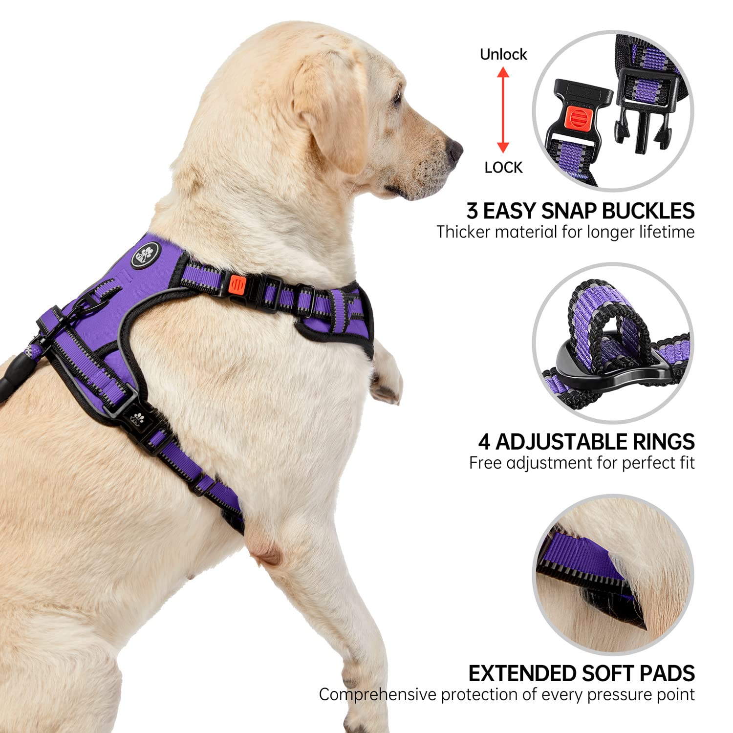 NESTROAD adjustable-straps closeup shows custom fit for secure walking