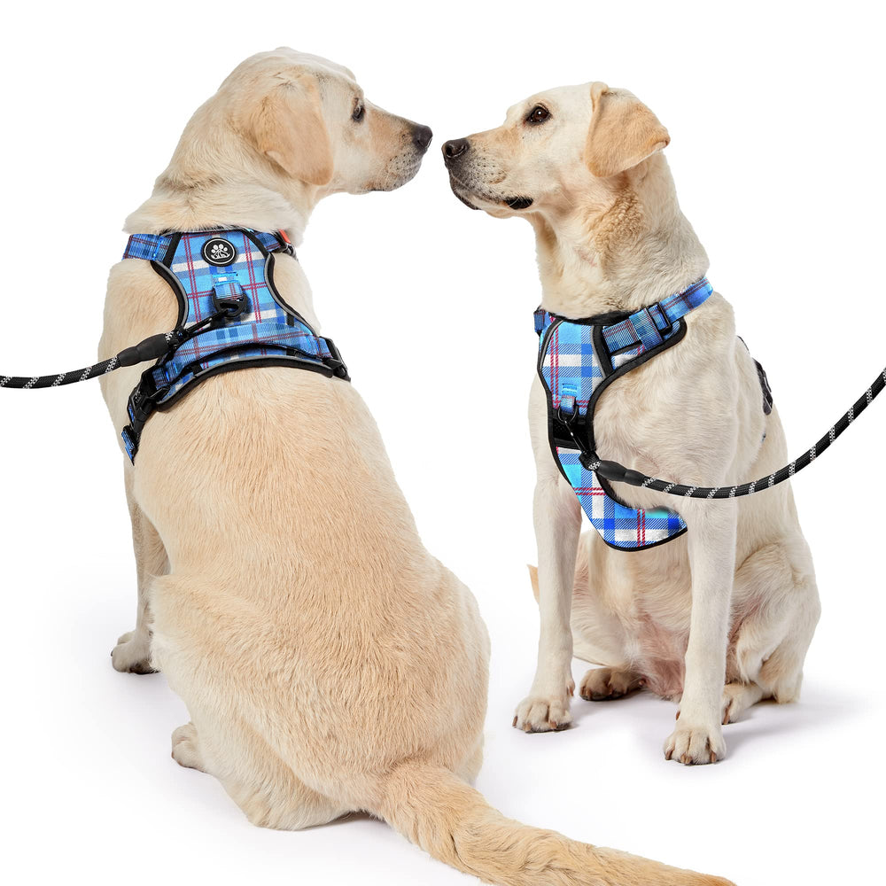 NESTROAD leash set included supports convenient, enjoyable walks