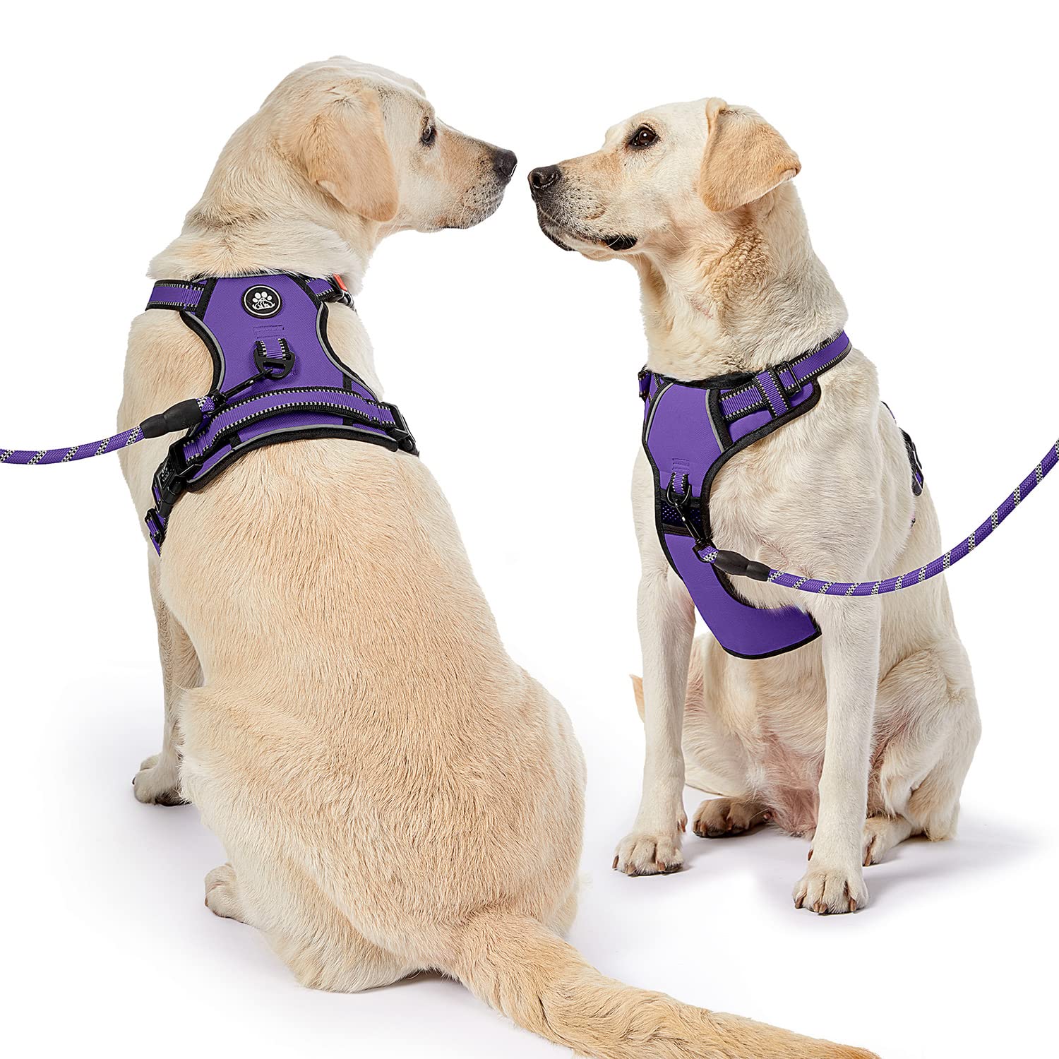 NESTROAD leash-set-storage-strap shows all-in-one walking solution