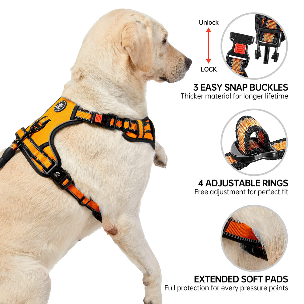 NestROAD harness featuring front and rear clips plus reflective strip for night safety.