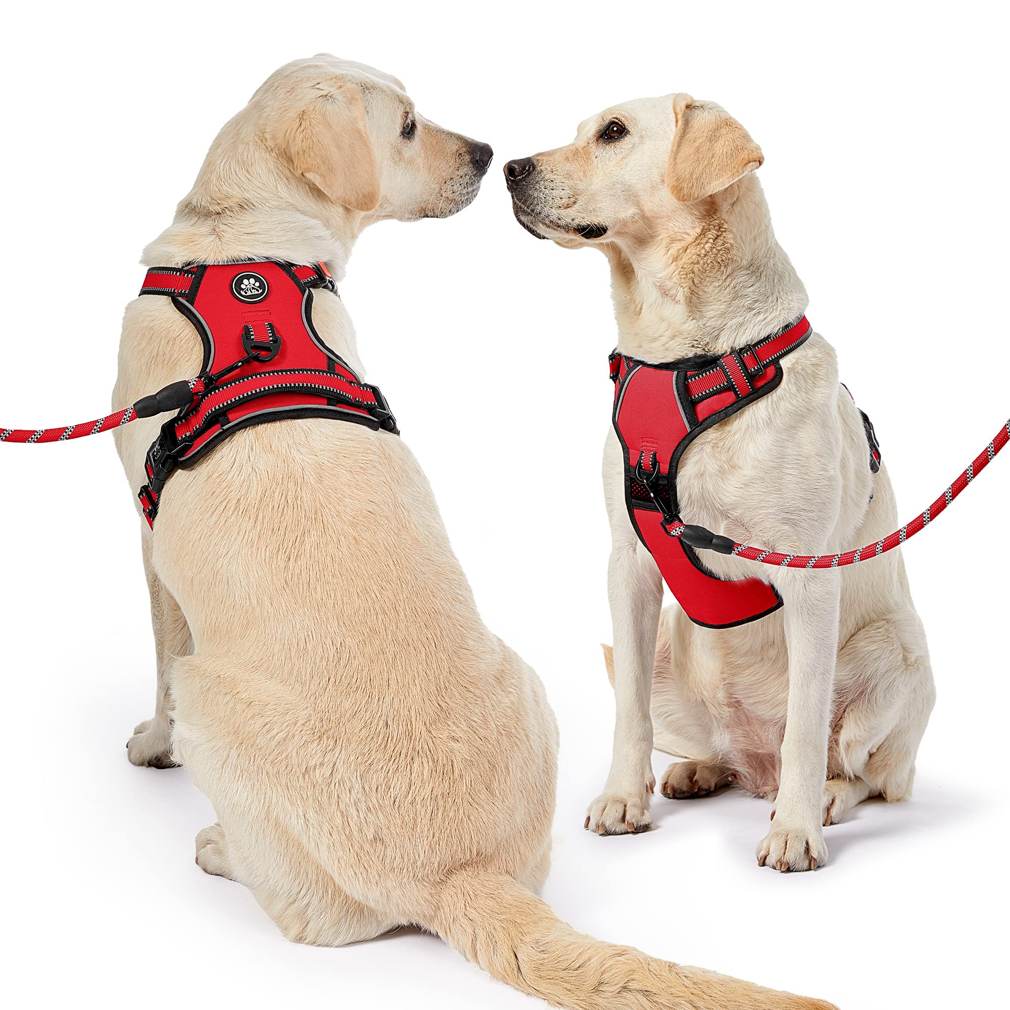 NestROAD No Pull Dog Harness leash-included kit adds convenience for immediate use.