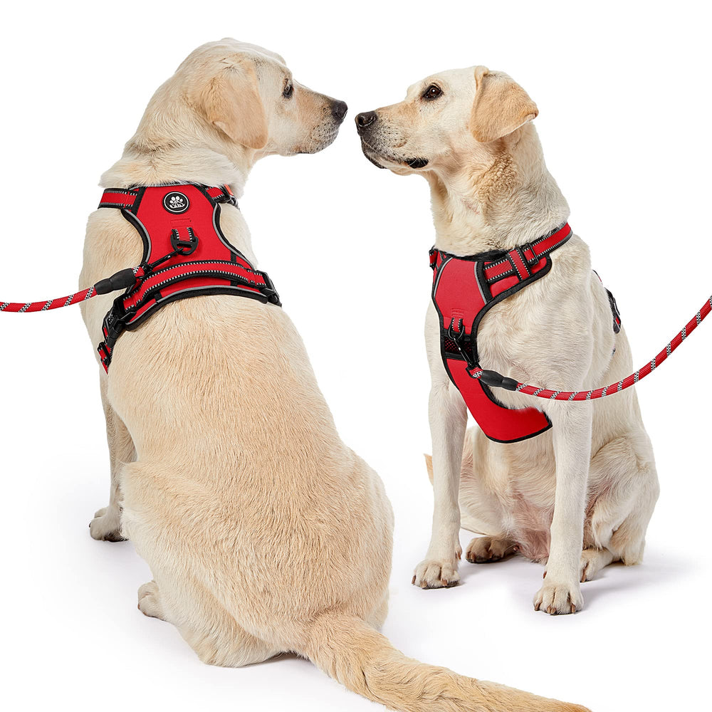 NestROAD No Pull Dog Harness leash-included kit adds convenience for immediate use.