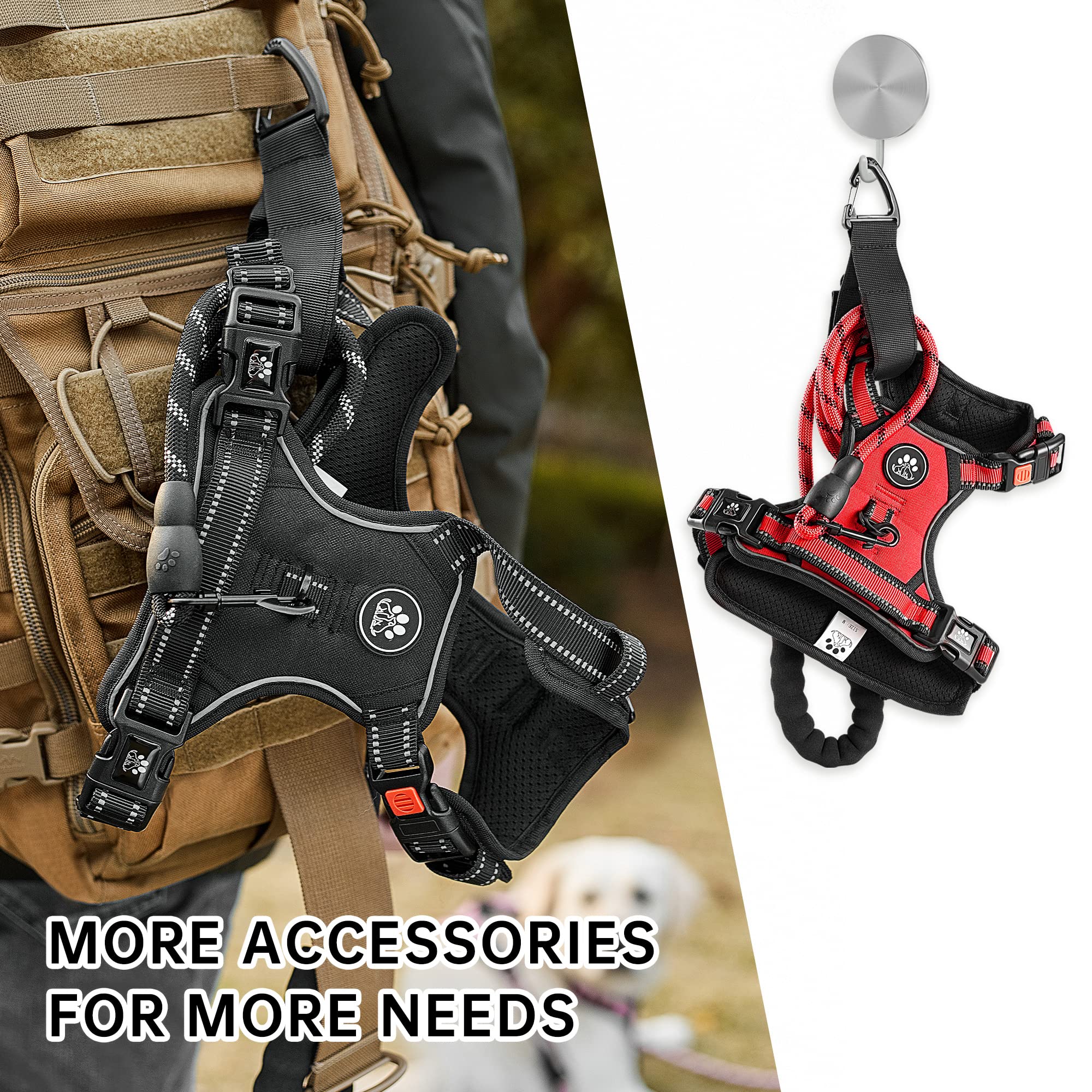 NestROAD No Pull Dog Harness rear-clip supports casual walking with balanced comfort.