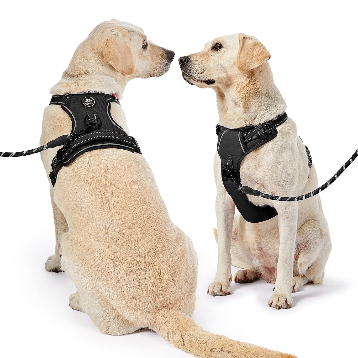 NESTROAD No Pull Harness size-chart helps select the right fit for large dogs.