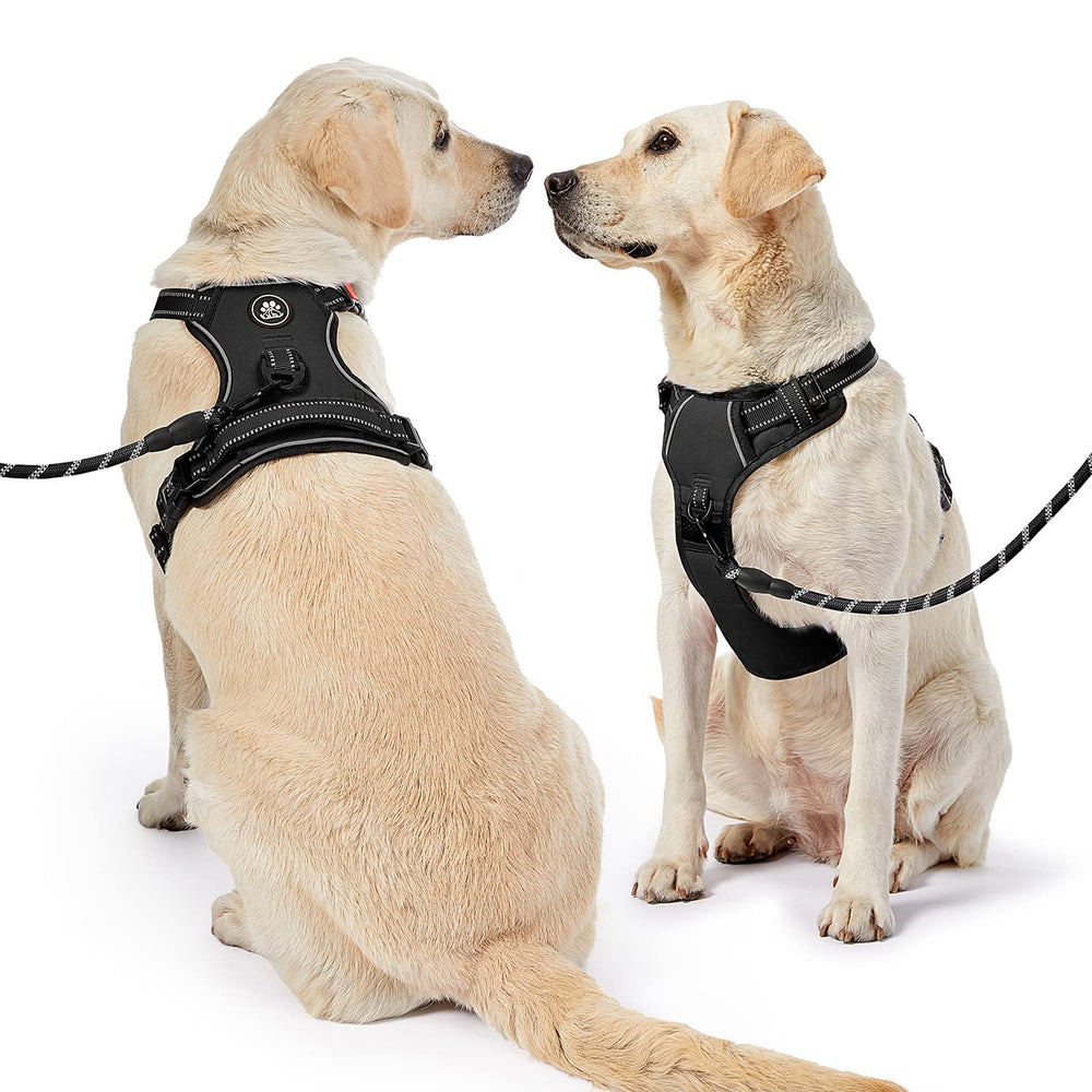 NESTROAD No Pull Harness size-chart helps select the right fit for large dogs.