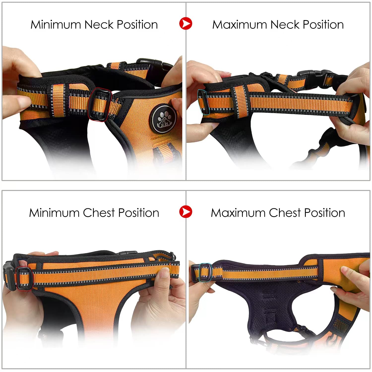 NestROAD leash, retractable seatbelt, and storage strap included for easy outings.