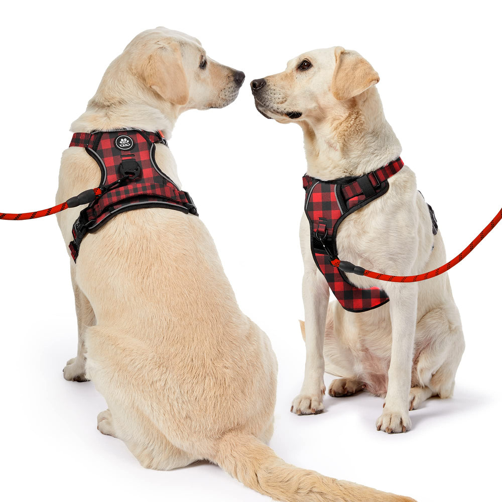 NESTROAD leash included for daily walks and easy control