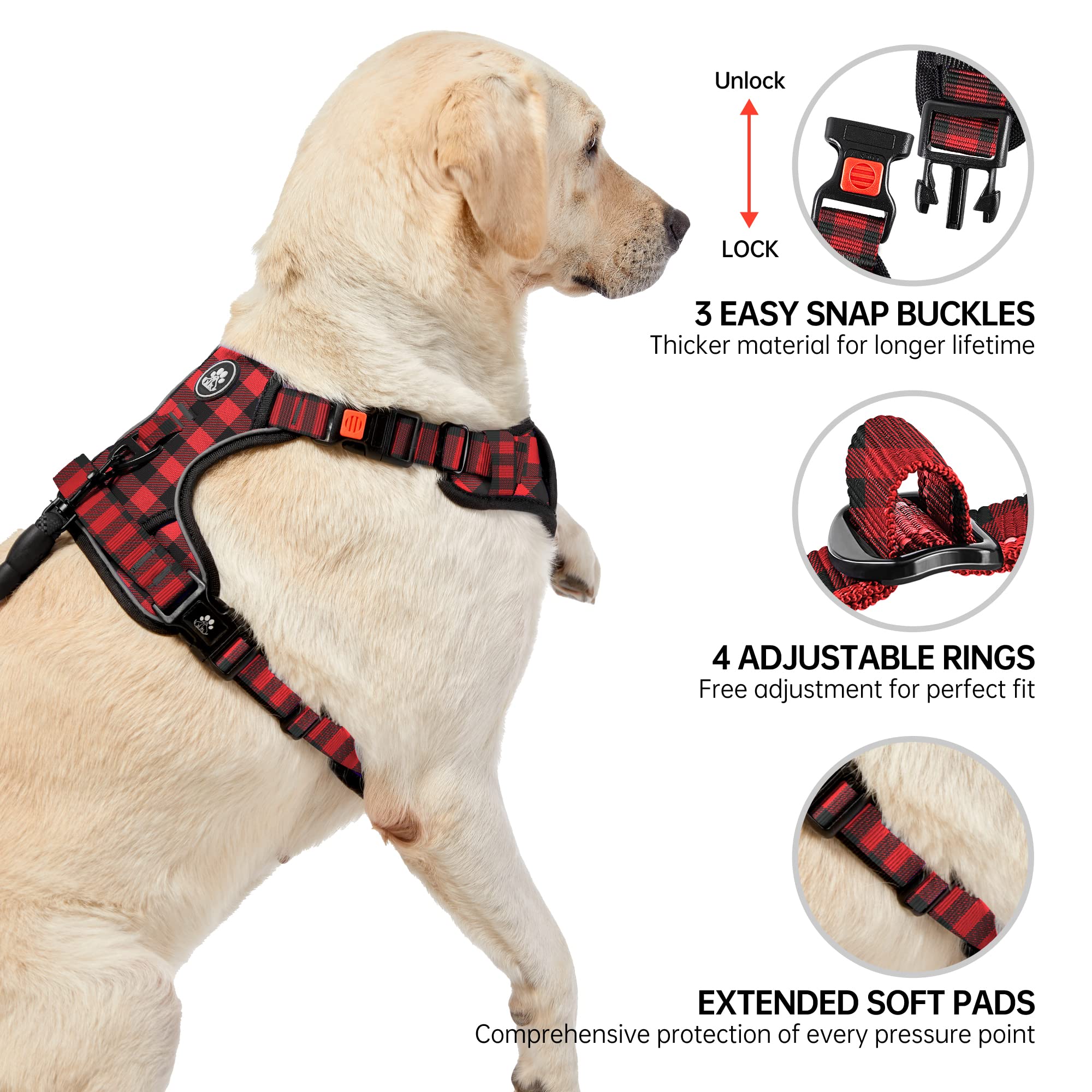 NestROAD No Pull Harness front and rear clips provide versatile control during walks.