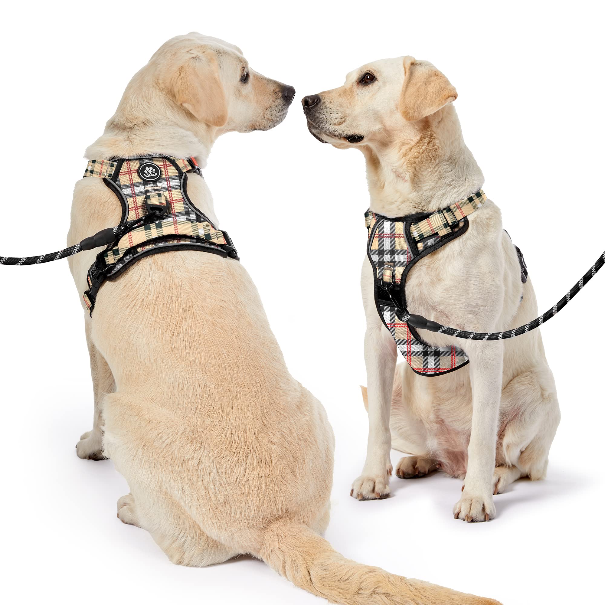 NESTROAD leash-seatbelt-storage-01 bundles accessories for organized daily walks.