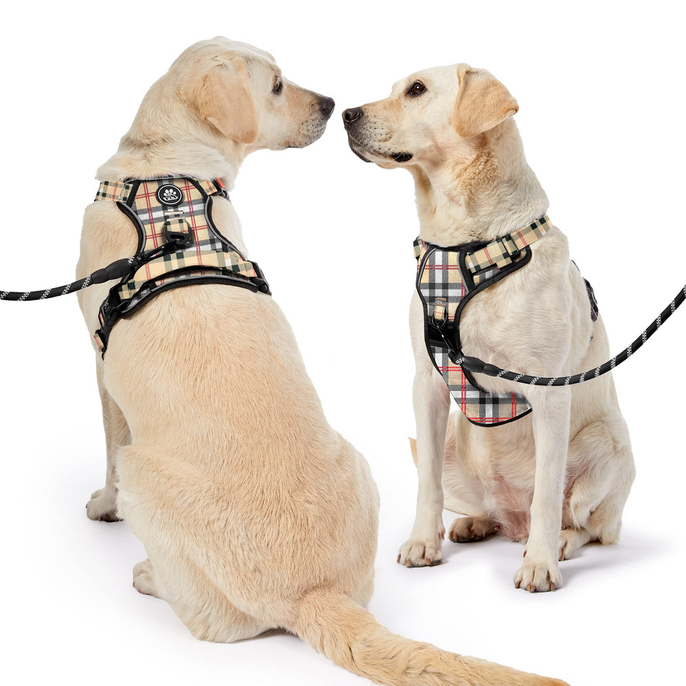 NESTROAD leash-seatbelt-storage-01 bundles accessories for organized daily walks.