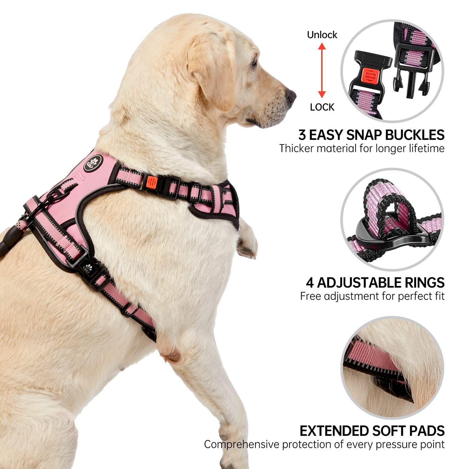 NESTROAD No Pull Harness reflective strip visible for safer night walks.