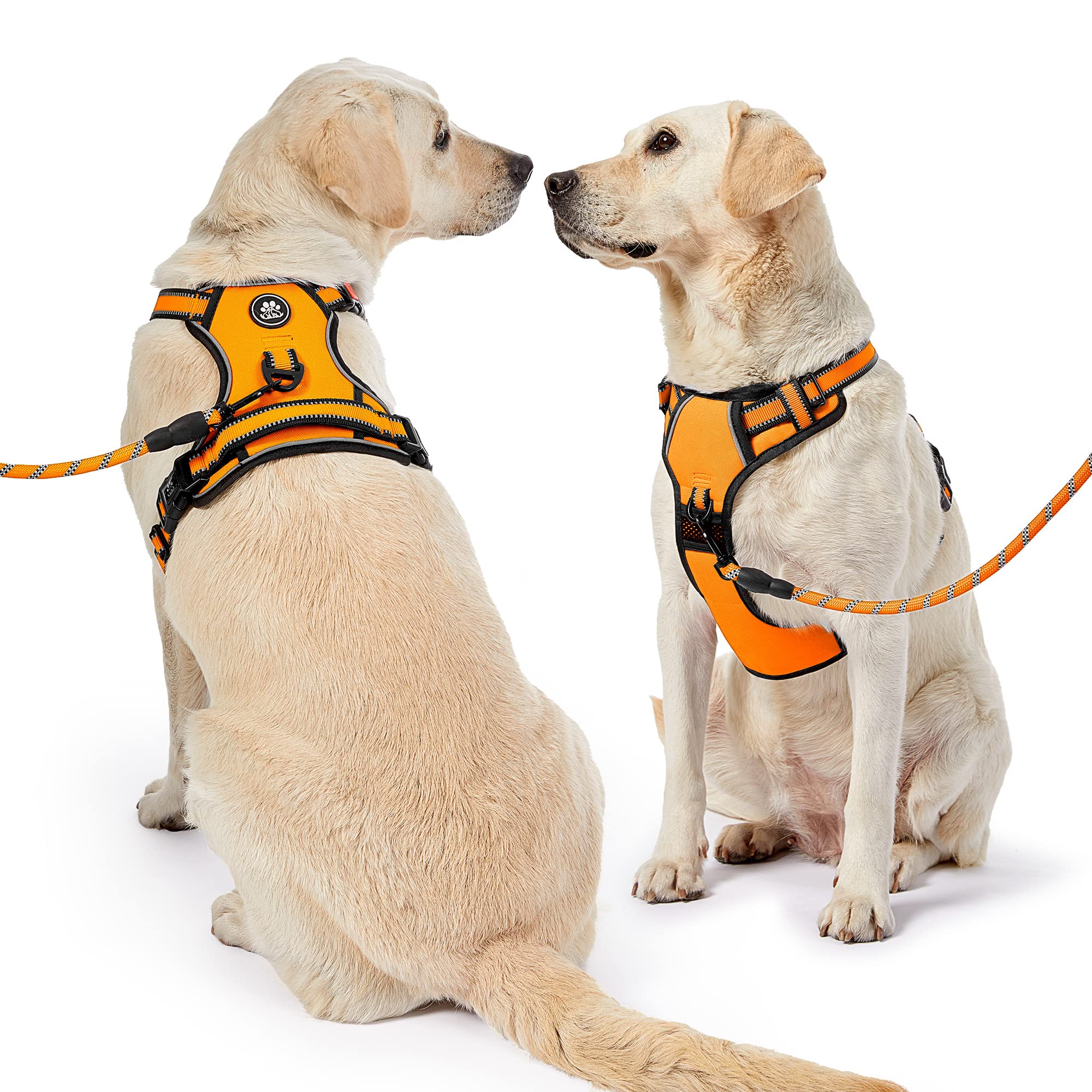 NestROAD orange harness on dog delivering breathable comfort during activity.