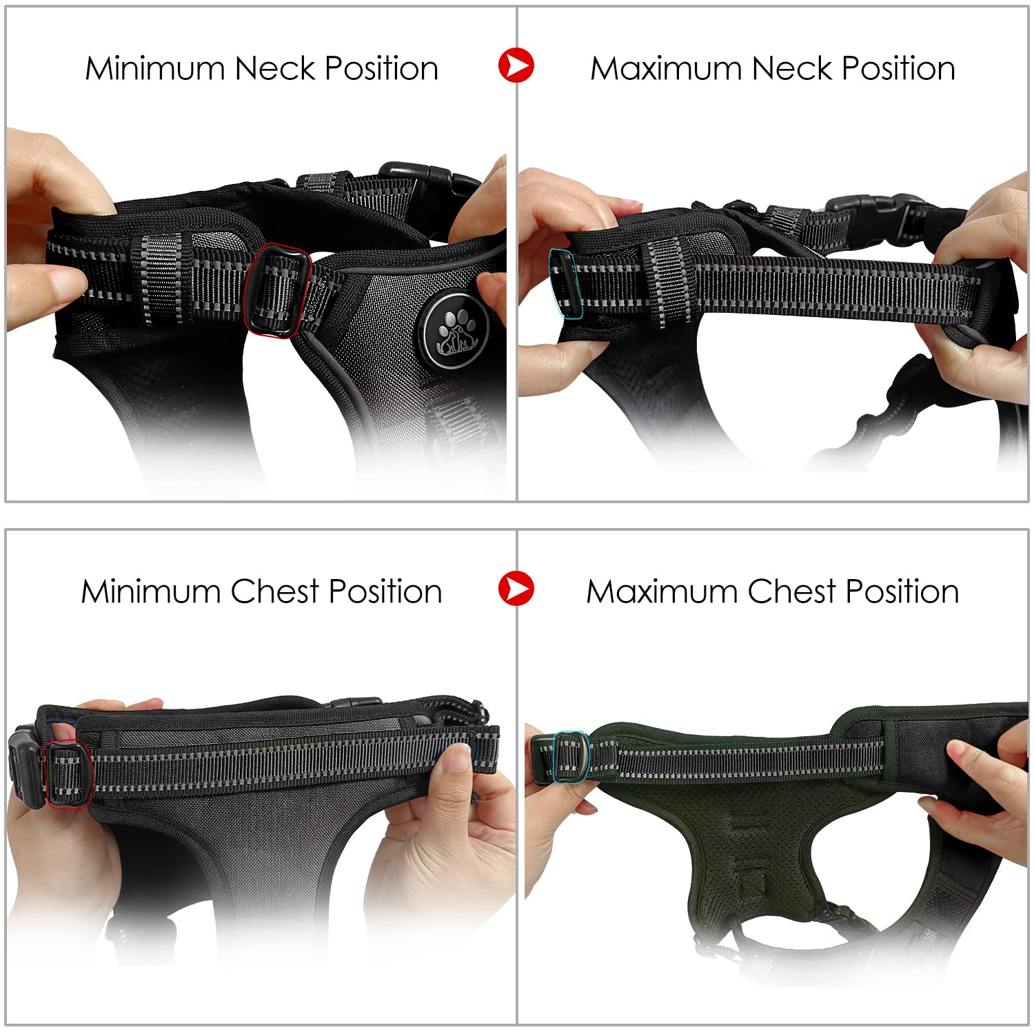 NestROAD reflective strip harness improves nighttime visibility.