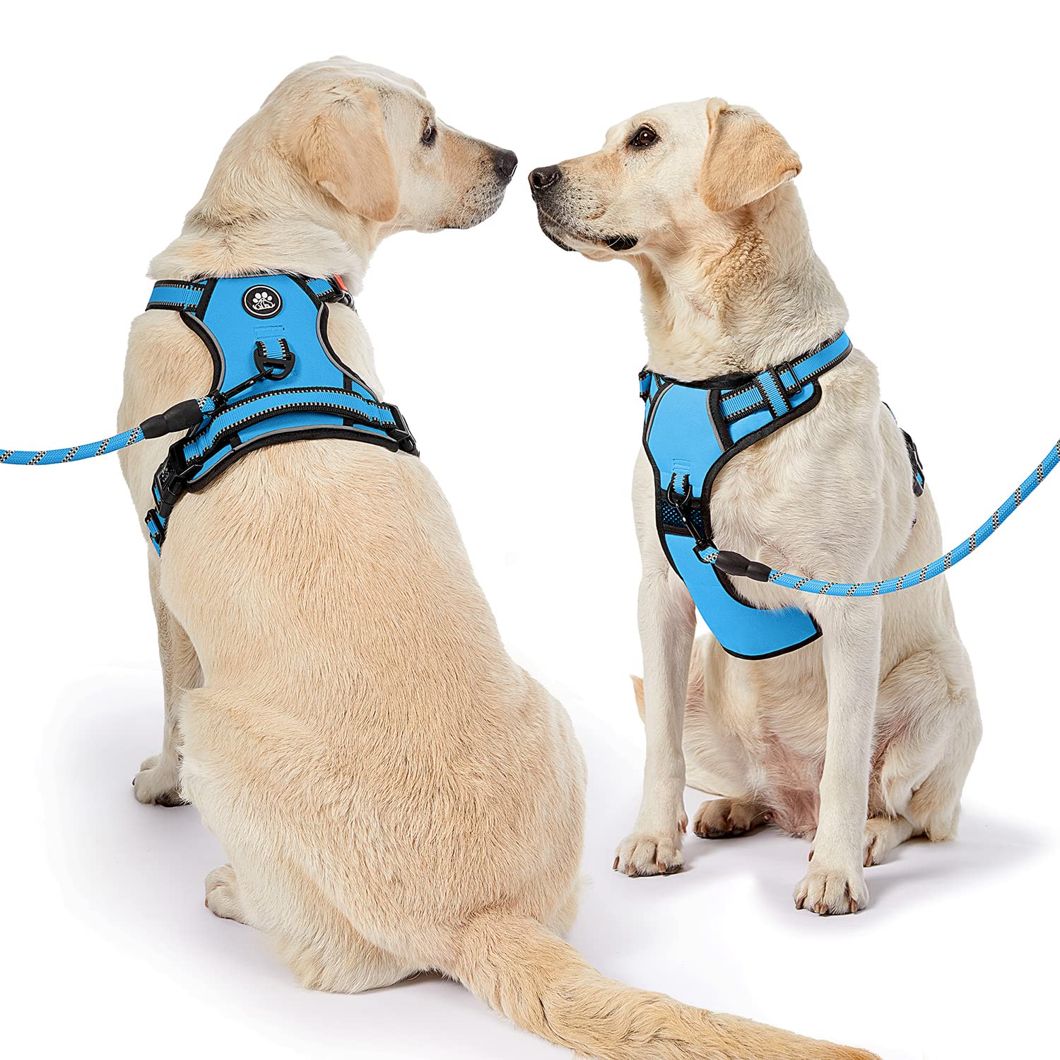 NESTROAD size options help find the right fit for your dog.