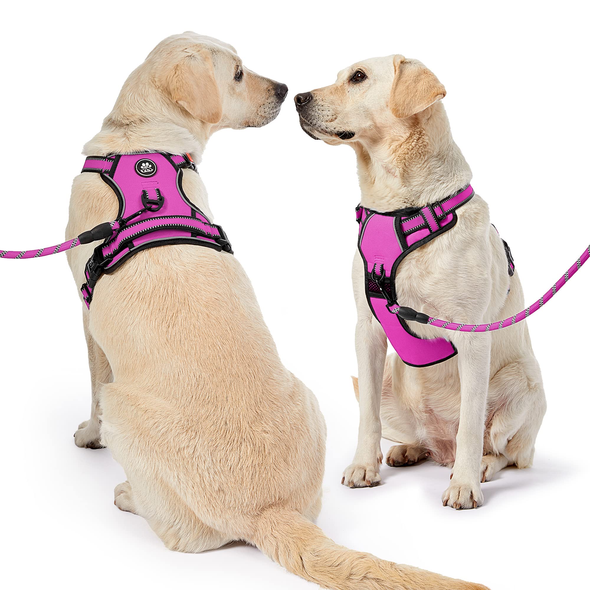 NESTROAD Packaged storage strap image emphasizes tidy transport and storage.