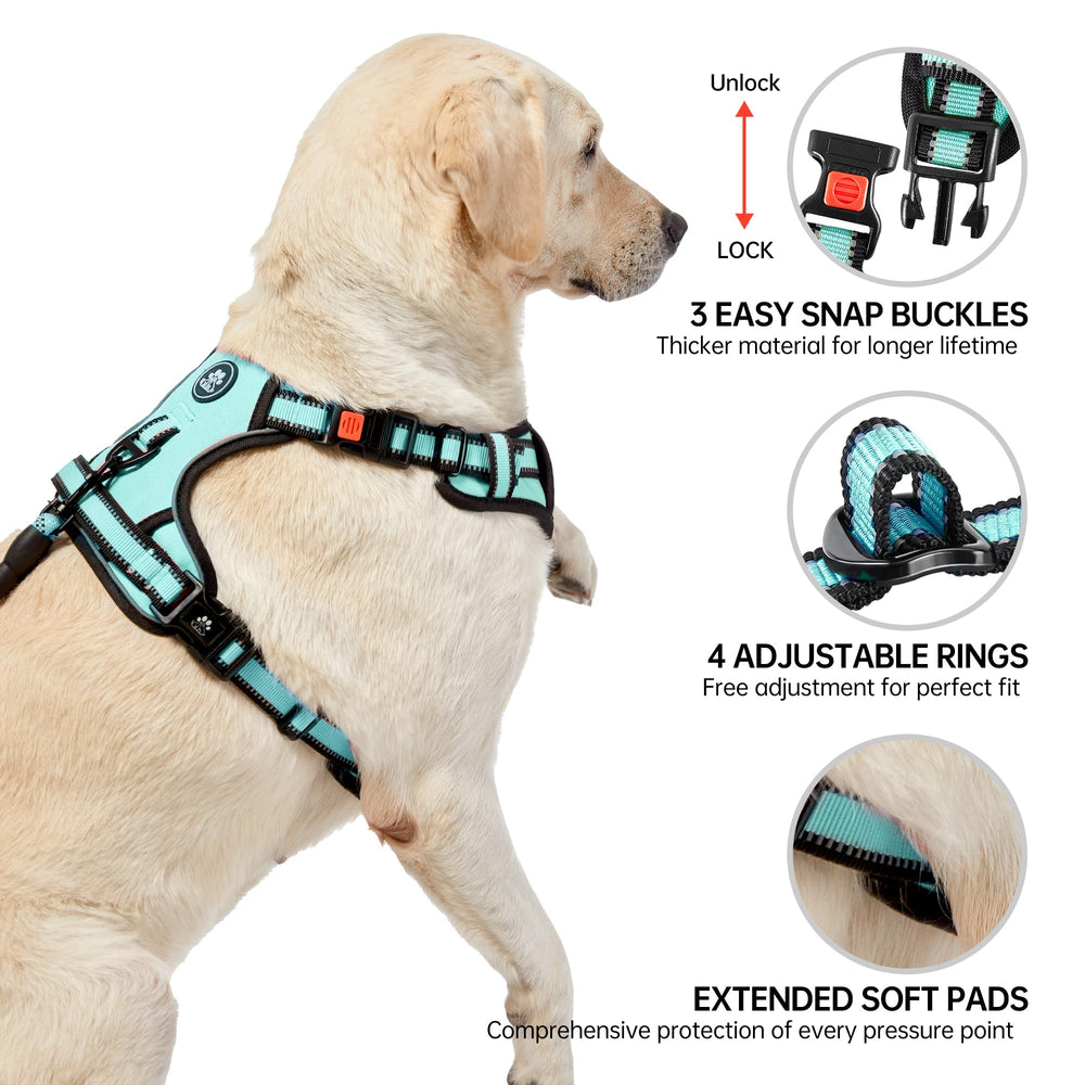 NestROAD soft-padding chest-area offers comfortable wear and skin protection.