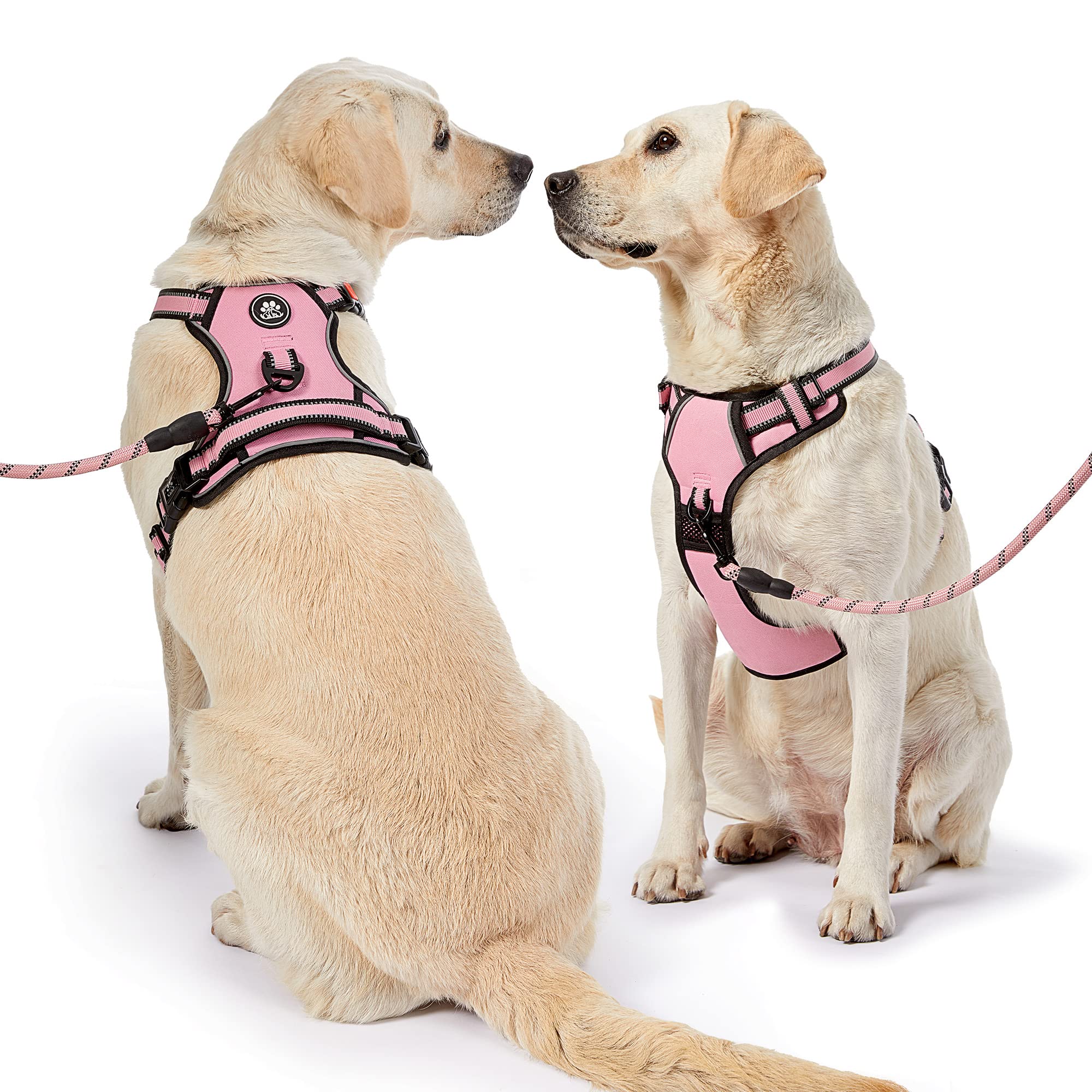 NESTROAD XS size note helps ensure proper fit for tiny dogs.