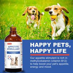 Netrca B12 for Dogs energy mood liquid dispense showcases quick energy uplift.