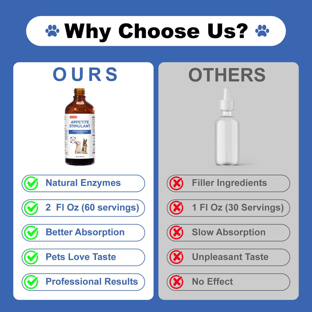 Netrca Dogs Digestive Support B12 bottle shows digestive-friendly benefits.