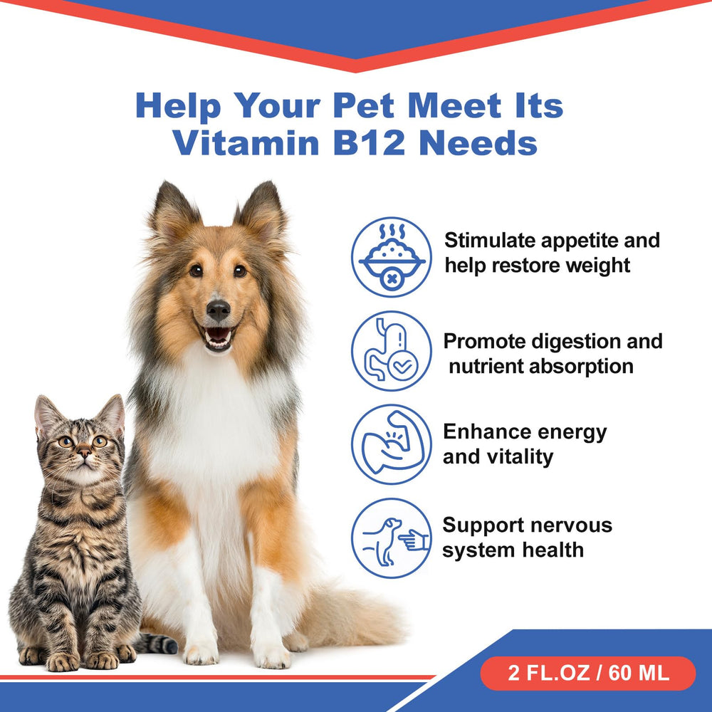 Netrca Vitamin B12 dogs liquid pour demonstrates easy daily dosing for energy.