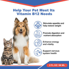 Netrca Vitamin B12 dogs liquid pour demonstrates easy daily dosing for energy.