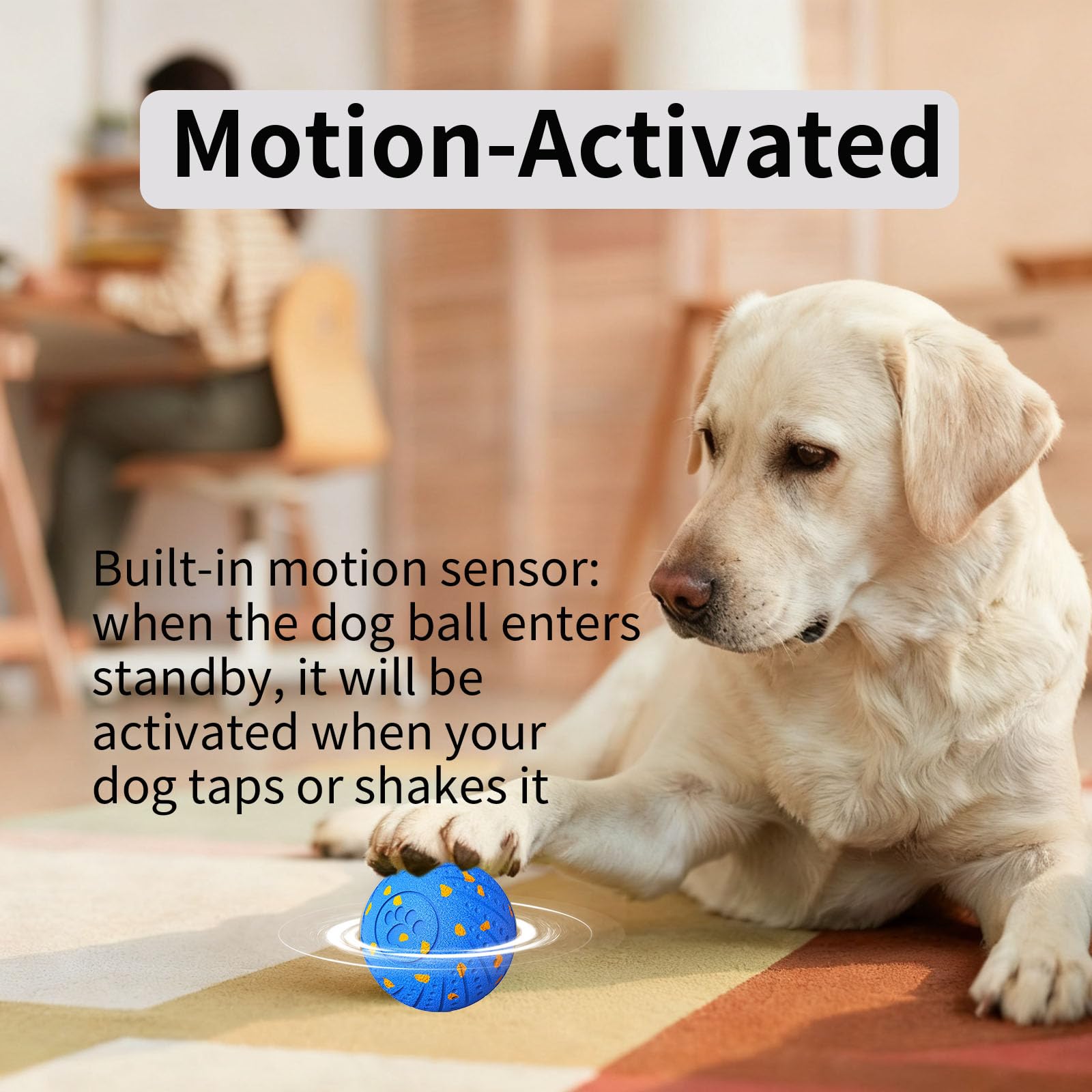 NETRCO IP54 waterproof dog ball image emphasizing indoor and outdoor use and rain-ready fun.