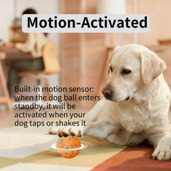 NETRCO IP54 waterproof ball for indoor/outdoor use