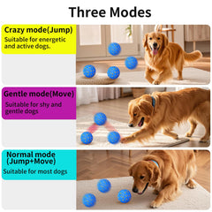NETRCO moving dog ball bouncing captures energetic play for active breeds and exercise sessions.