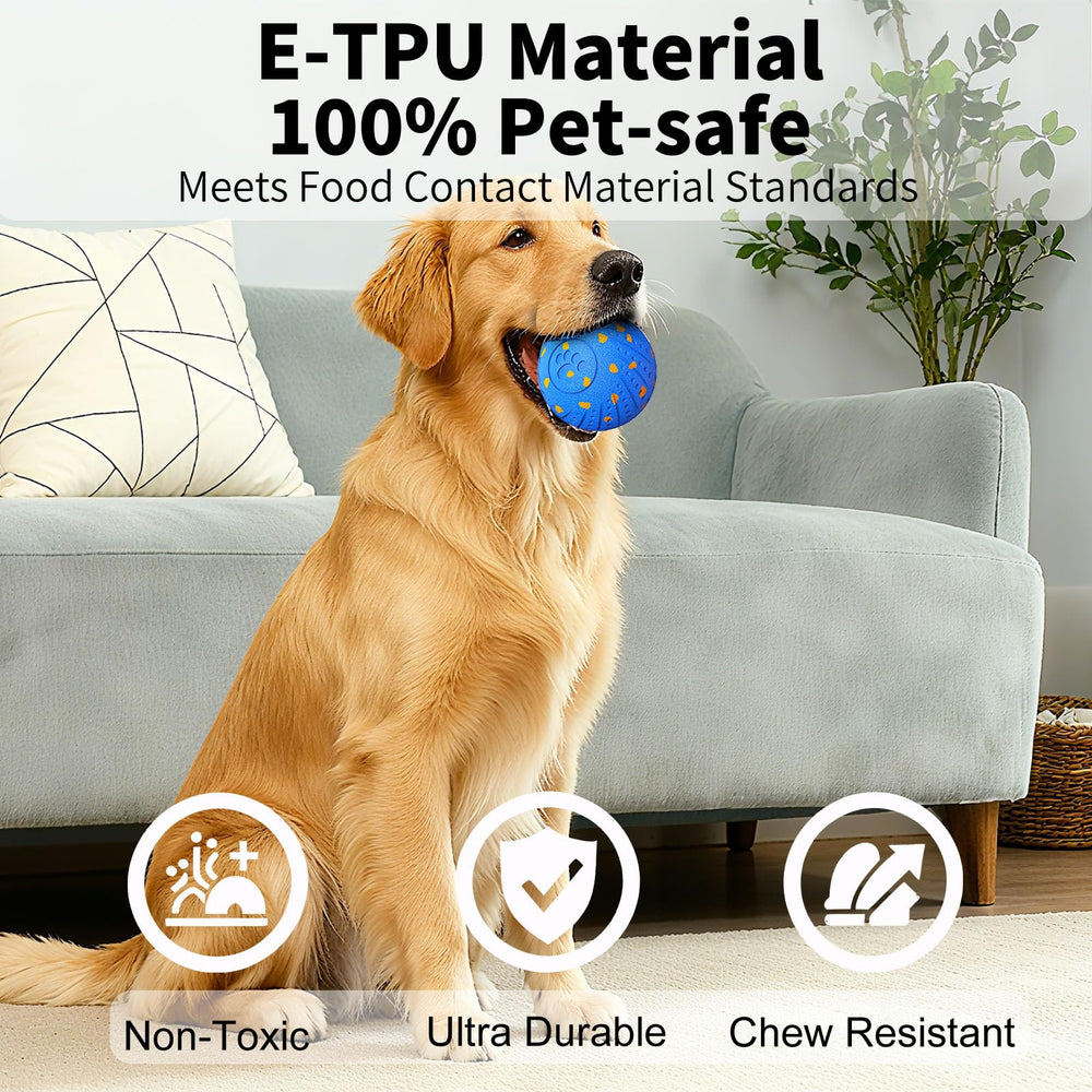 NETRCO rotating dog ball during play highlights multi-direction movement for curious dogs.