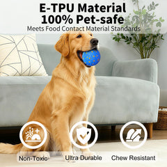 NETRCO rotating dog ball during play highlights multi-direction movement for curious dogs.