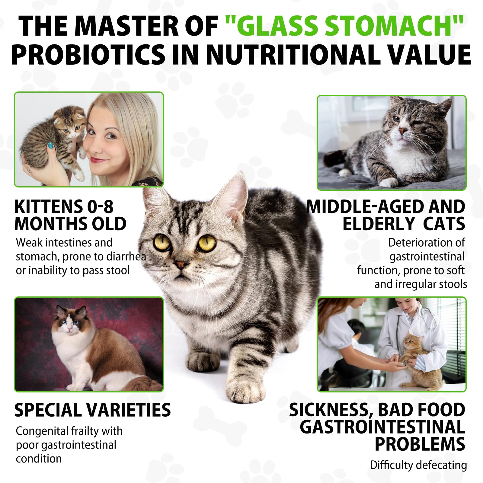 Netwik Cat Constipation Relief dropper—precise dosing for quick feline relief.