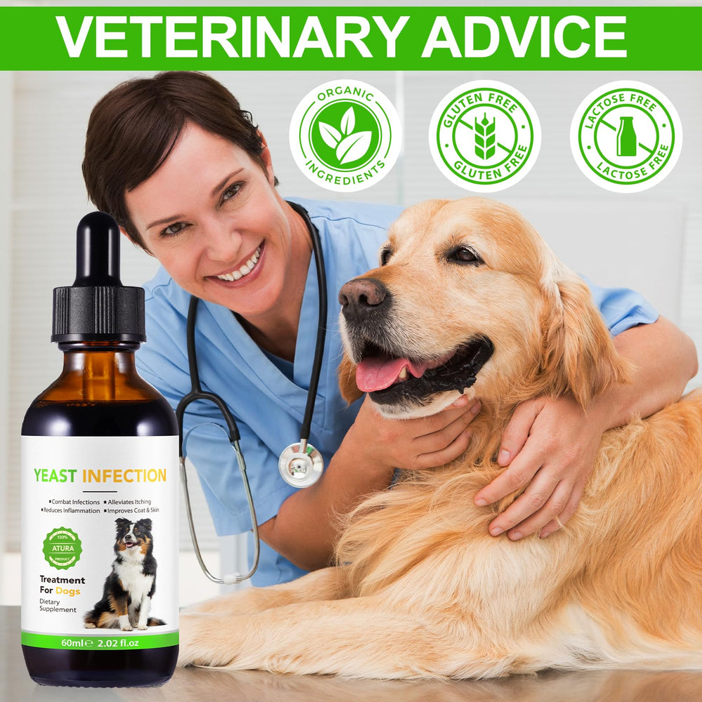 Netwik dog coat and skin improvement shows glossy, healthy fur