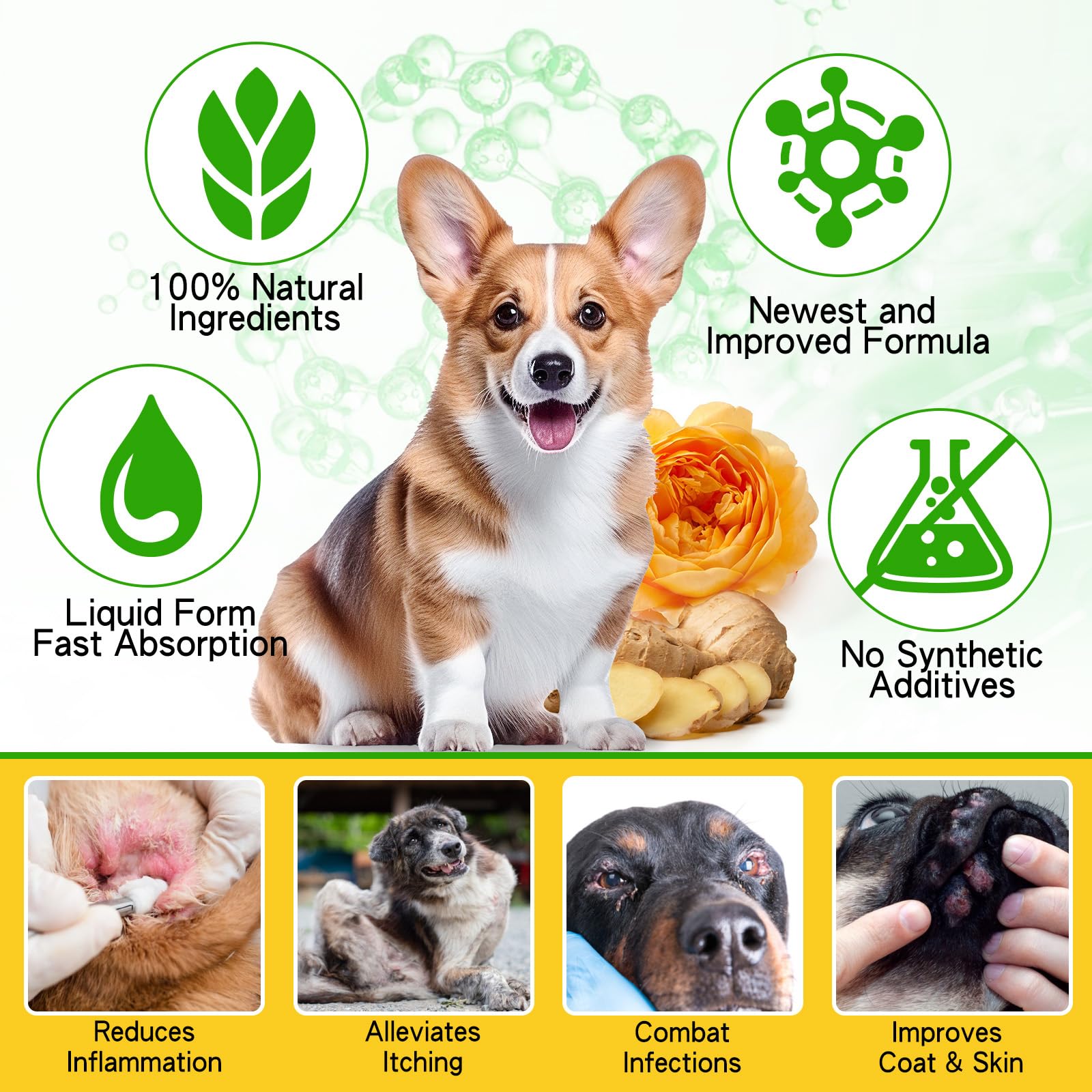 Netwik bottle-dropper dispensing easy-to-dose for puppies and dogs.