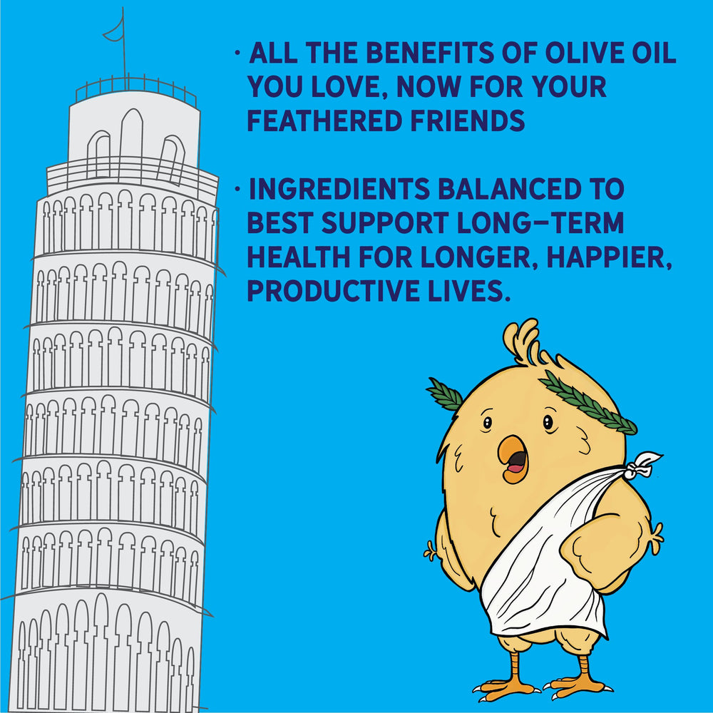 New Country Organics 17% protein layer feed supports steady laying.