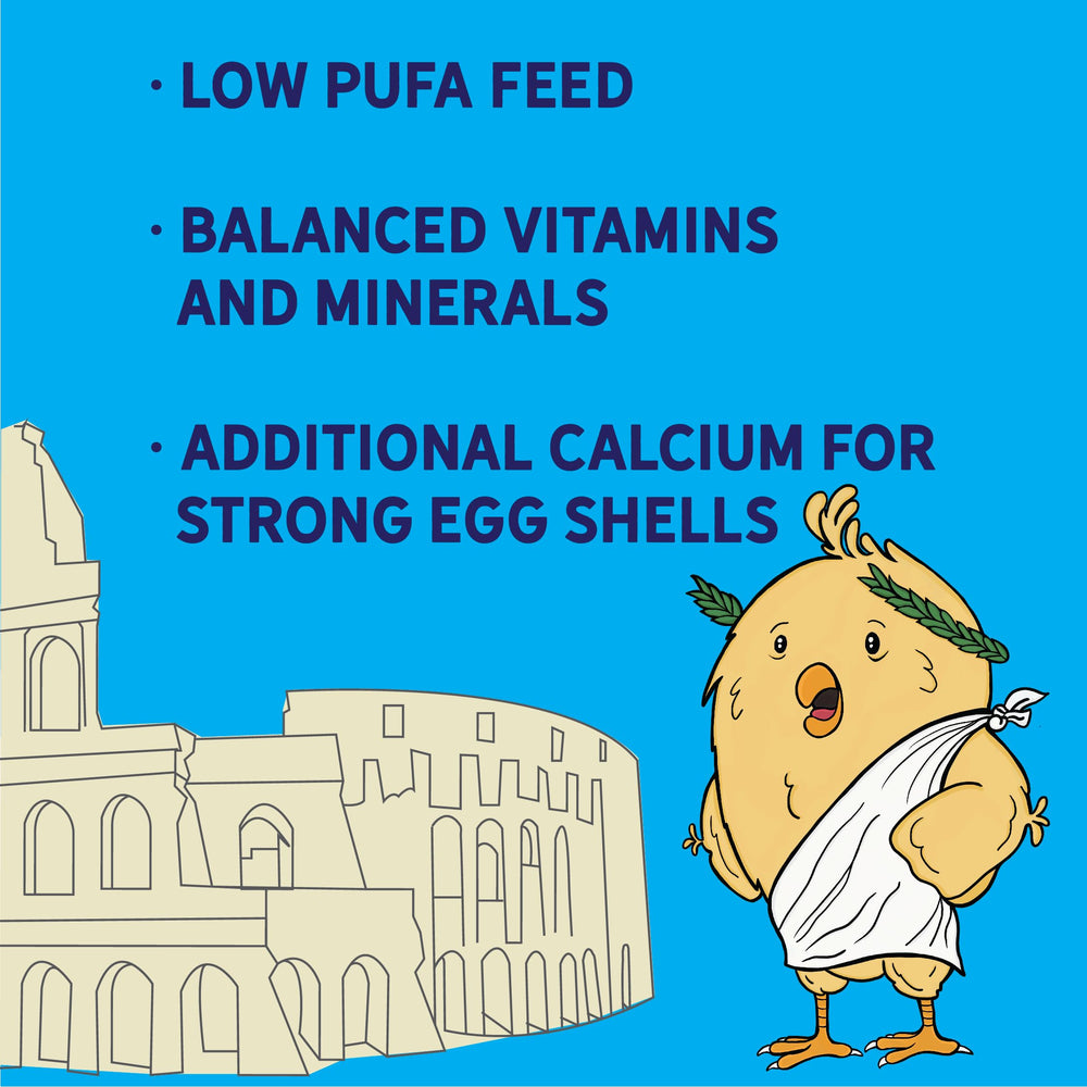 New Country Organics omega-3-hen-feed enhances egg quality.