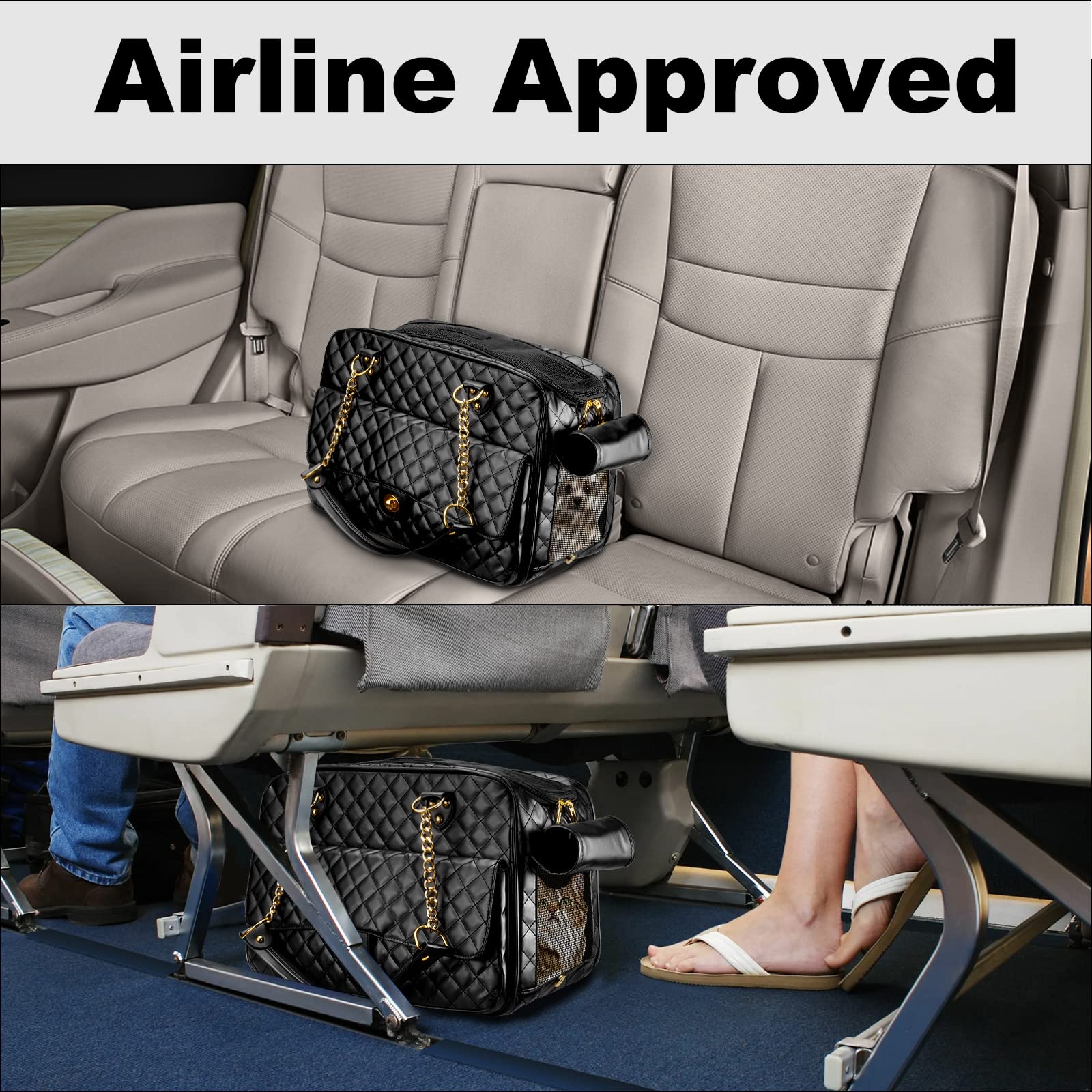 NewEle inner leash and cushion show secure, cozy space for small pets.