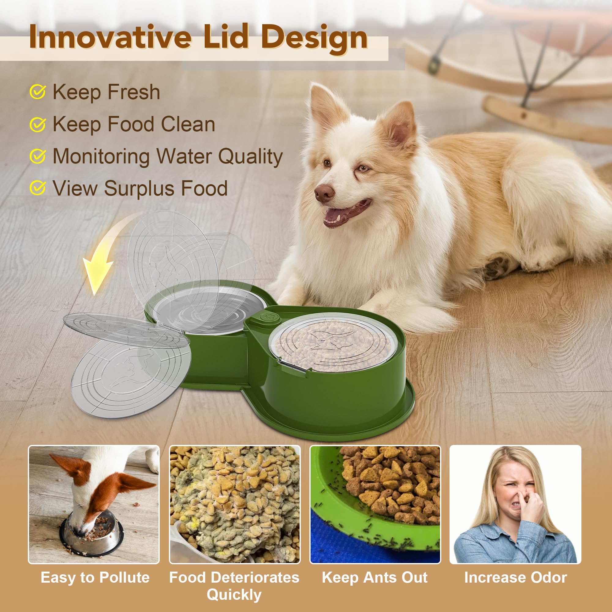 Newget 304 stainless steel dual bowls resist odors, keeping feeding areas clean.