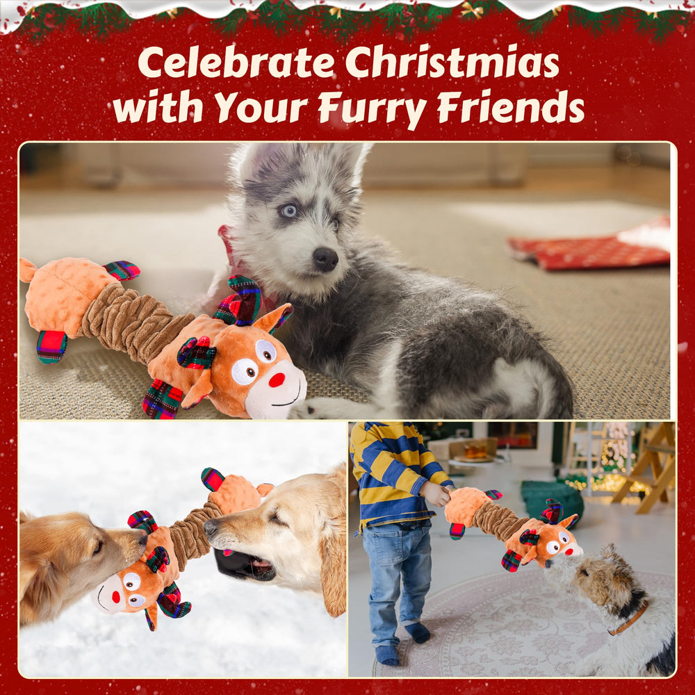 Newget Christmas card gift-pack image for gifting and keeps toys organized.