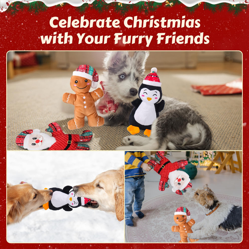 Newget Christmas card included with toy set for gifting