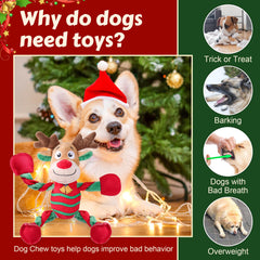 Newget plush dog toy comforts dogs with soft textures and engaging squeaks for stress relief