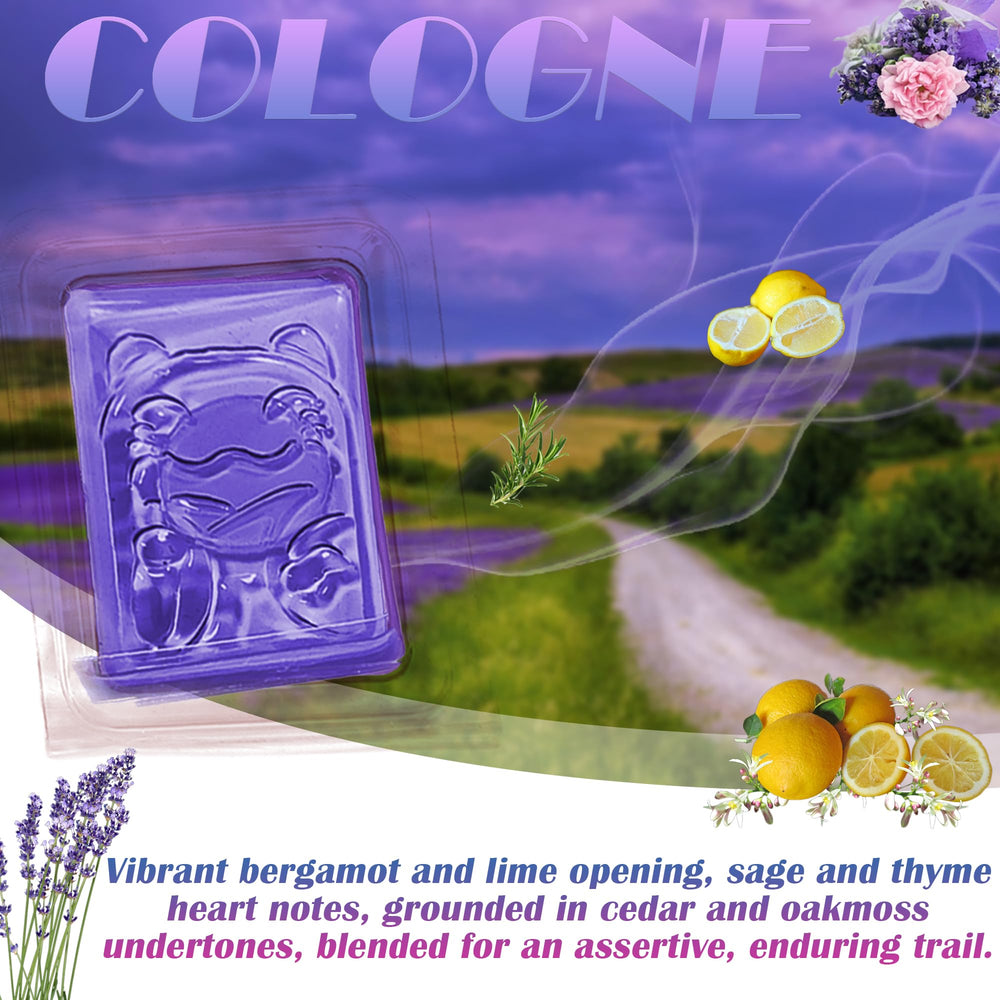 NewKe universal pet deodorizer gel lemon fragrance infuses bright, zesty aroma for pet spaces.