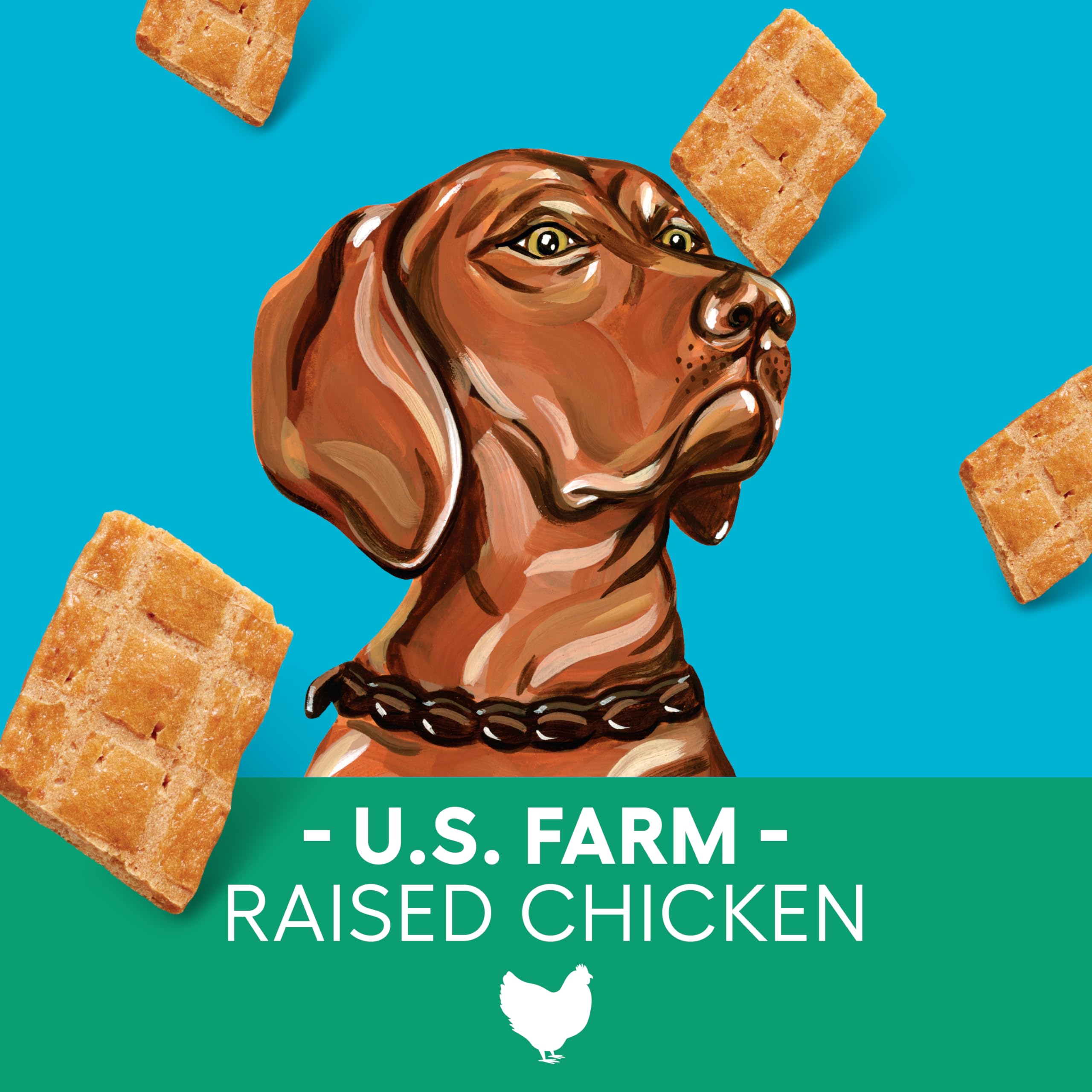 Newman's Own dog treats resealable pouch—keeps freshness for ongoing training rewards.