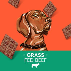 Newman's Own Jerky Treats sweet potato pieces offer grain-free goodness.
